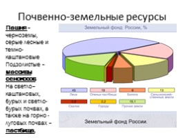Почвы России, слайд 12