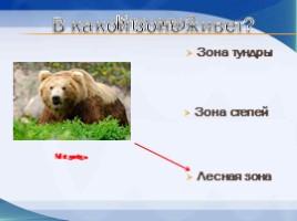 Игра «Животные разных природных зон», слайд 3