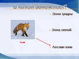 Игра «Животные разных природных зон», слайд 5