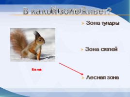 Игра «Животные разных природных зон», слайд 6
