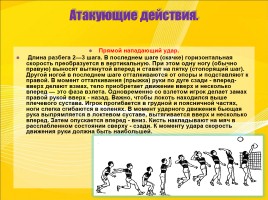 Методическая разработка для уроков физической культуры по теме «Волейбол», слайд 12