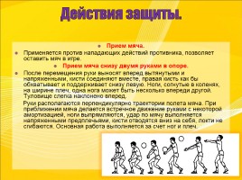 Методическая разработка для уроков физической культуры по теме «Волейбол», слайд 13