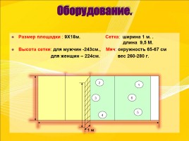 Методическая разработка для уроков физической культуры по теме «Волейбол», слайд 6