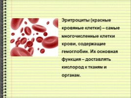 Клетки крови - Строение и функции, слайд 3