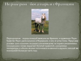 Семь чудес Ульяновской области, слайд 17
