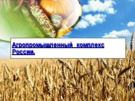 География 9 класс «Агропромышленный комплекс России»