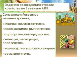 География 9 класс «Агропромышленный комплекс России», слайд 13