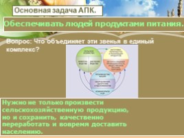География 9 класс «Агропромышленный комплекс России», слайд 15