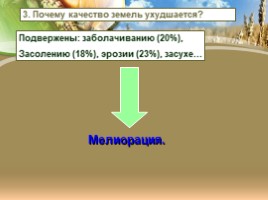 География 9 класс «Агропромышленный комплекс России», слайд 22