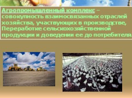 География 9 класс «Агропромышленный комплекс России», слайд 3