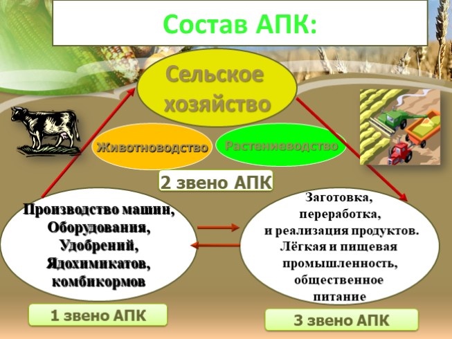 Сельское хозяйство 9 класс география презентация