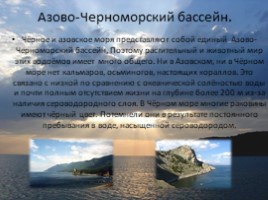 География 8 класс «Чёрное и Азовское моря», слайд 8