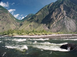 Алтай - страна нетронутой природы, слайд 14