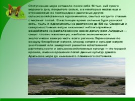 Проблемы экологии «Аральское море и причины его гибели», слайд 12