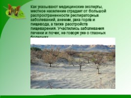Проблемы экологии «Аральское море и причины его гибели», слайд 13