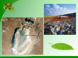 Проблемы экологии «Аральское море и причины его гибели», слайд 15