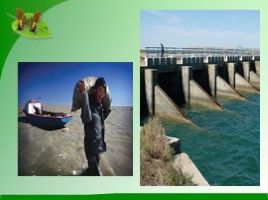 Проблемы экологии «Аральское море и причины его гибели», слайд 18