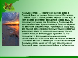 Проблемы экологии «Аральское море и причины его гибели», слайд 2