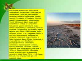 Проблемы экологии «Аральское море и причины его гибели», слайд 6