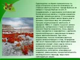 Проблемы экологии «Аральское море и причины его гибели», слайд 7