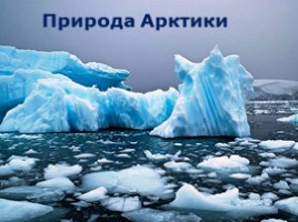 Арктика - фасад России, слайд 3