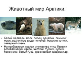 Природные ресурсы Арктики, слайд 11