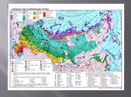 География 8 класс «Безлесные природные зоны Арктики и Субарктики», слайд 2