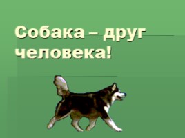 Собака - друг человека!