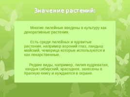 Лилейные растения (растения Волгоградской области), слайд 8