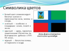 Флаг Белгородской области, слайд 7