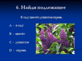 Тест по русскому языку 3 класс «Текст - Предложение - Словосочетание», слайд 8