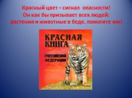 Коллективный проект к уроку по окружающему миру «Красная книга», слайд 5