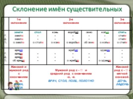 Русский языку 5 класс «Имя существительное» (2 урока повторения), слайд 14