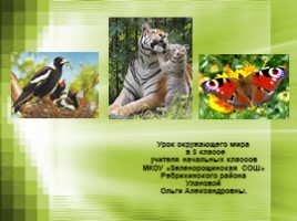 Урок окружающего мира в 3 классе «Размножение животных разных групп - Развитие птиц», слайд 1