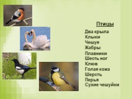 Урок окружающего мира в 3 классе «Размножение животных разных групп - Развитие птиц», слайд 7