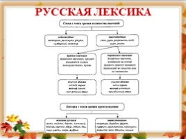 Русский язык 6 класс «Лексика» (урок повторение в начале года), слайд 12