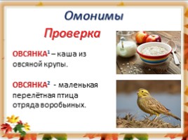 Русский язык 6 класс «Лексика» (урок повторение в начале года), слайд 18