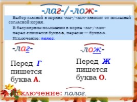 Русский язык 6 класс «Лексика» (урок повторение в начале года), слайд 5
