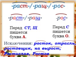 Русский язык 6 класс «Лексика» (урок повторение в начале года), слайд 6