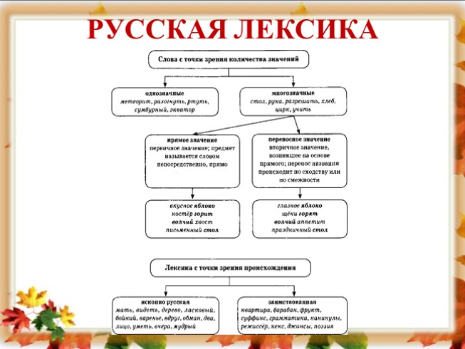 Лексика 6 класс презентация