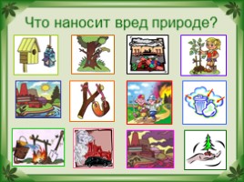 Окружающий мир 2 класс «Будь природе другом!», слайд 14