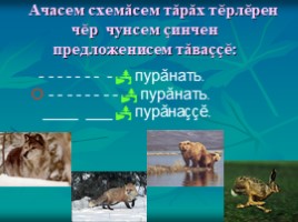 Урок чувашского языка во 2 классе «Вăрманта», слайд 11
