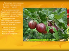 Урок по технологии 7 класс «Сведения о плодовых деревьях», слайд 4