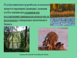 Ососбо охраняемые природные территории России, слайд 12