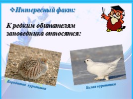 Байкало-Ленский государственный природный заповедник, слайд 10