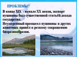 Байкало-Ленский государственный природный заповедник, слайд 12