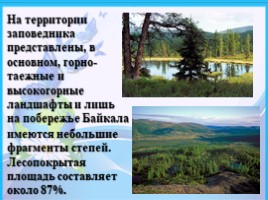Байкало-Ленский государственный природный заповедник, слайд 4