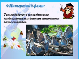 Байкало-Ленский государственный природный заповедник, слайд 7