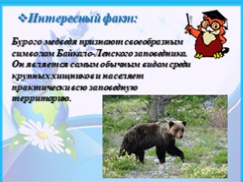 Байкало-Ленский государственный природный заповедник, слайд 8