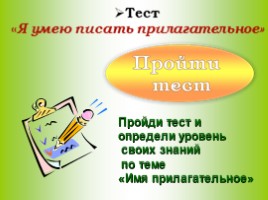 Творческий мини-проект по русскому языку - Урок - «портрет» «Я ль на свете всех милее…», слайд 17
